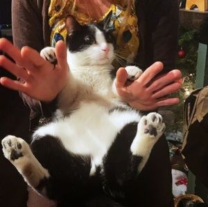 Meet your Posher, Naomi